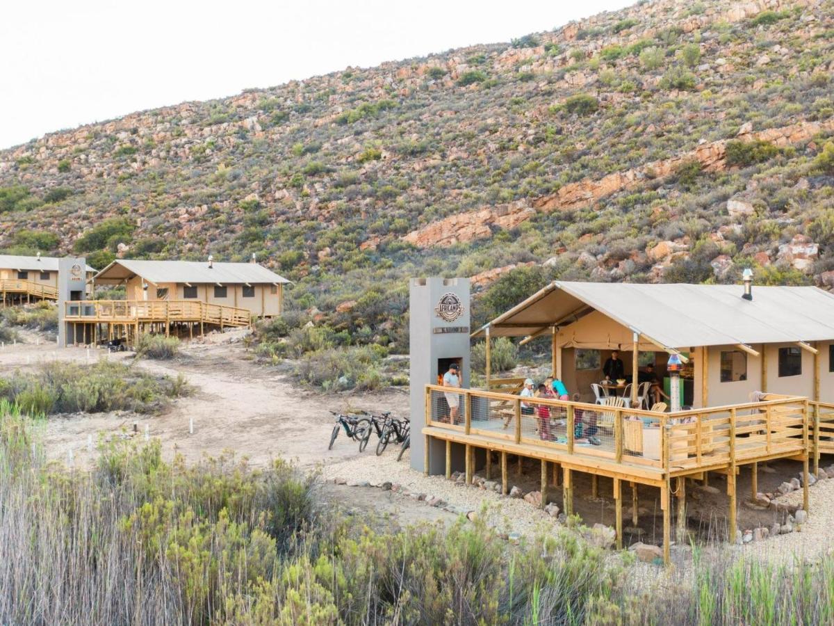 Africamps At Karoo 1 Villa De Doorns Екстериор снимка